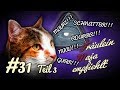 KATZENSPRACHE Teil 3 | Lästern Katzen? KATZEN VERSTEHEN | Fräulein Maja empfiehlt Teil 31