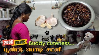 இந்த சட்னி செஞ்சி பாருங்க செம்ம டேஸ்டா இருக்கும் | Garlic powder chutney | poondu podi chutney... 🧄🙂