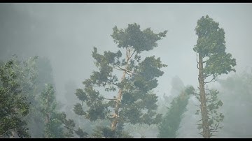 Tree Rig Library for Houdini | Tool Of The Day