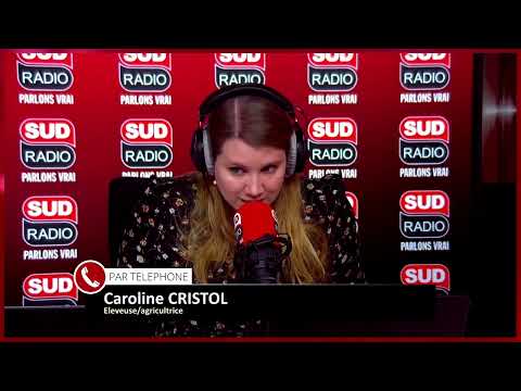 Crise de la dermatose : "Même si on a le vaccin, on reste inquiets"