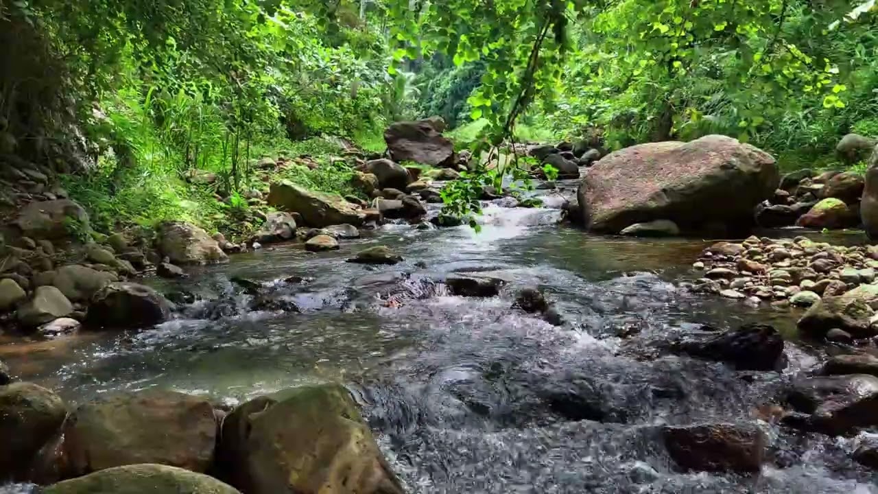 Relaxing Tropical River Sounds with Water Rushing Over Massive Boulders