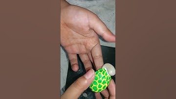 cute little turtle with walnut shell #shorts #youtubeshorts #viral #crafts  @crafter82851