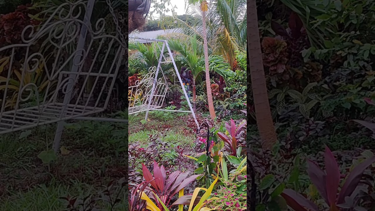 The garden in pictures