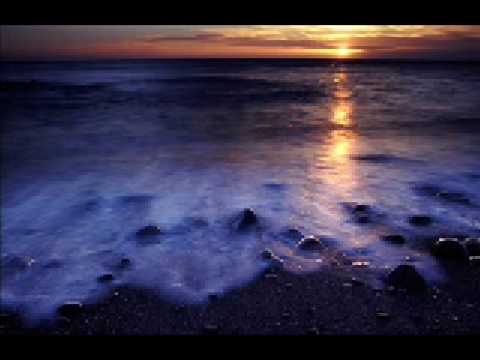 Skycamefalling To Forever Embrace The Sun 1998 Vinyl Discogs Skycamefalling To Forever Embrace The Sun 1998 Vinyl Discogs