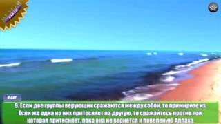 Ибрахим Аль-Джибрин. Сура 49 Аль-Худжурат (Комнаты) 9-13 аяты