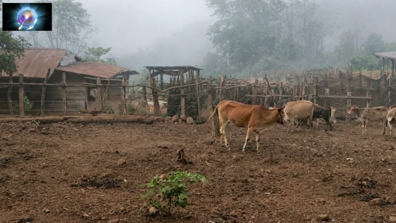 UA PLAUB HAUS DEJ DAB THIAJ RAUG TSOV TOM