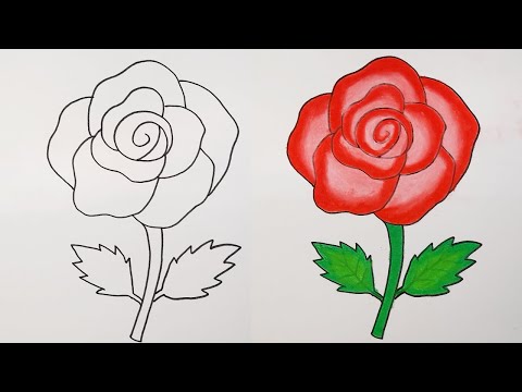 Cara Gambar Bunga Rose
