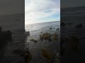 Natural Lava Arches 🌋🌊 | We Are Coastal #4