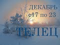 ТЕЛЕЦ. ТАРО-ПРОГНОЗ на НЕДЕЛЮ с 17 по 23 ДЕКАБРЯ.