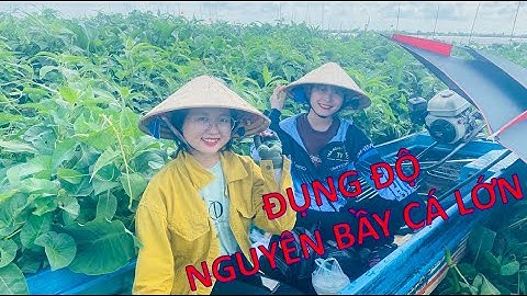 Câu cá mùa nước đổ đụng ổ cá lớn | Câu Cá Miệt Vườn T53