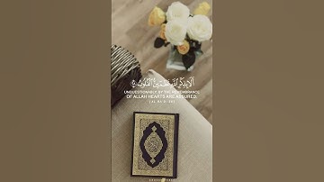 من اجمل الاصوات ❤️❤️❤️سوره مريم بصوت الشيخ احمد العجمي 🙏🙏🙏 #القران_الكريم #المصحف