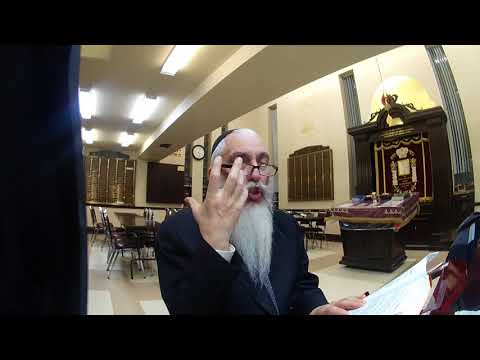 мудрость жизни Рав Йосэф Зальцман уроки торы раскрытие торы и галахи 2