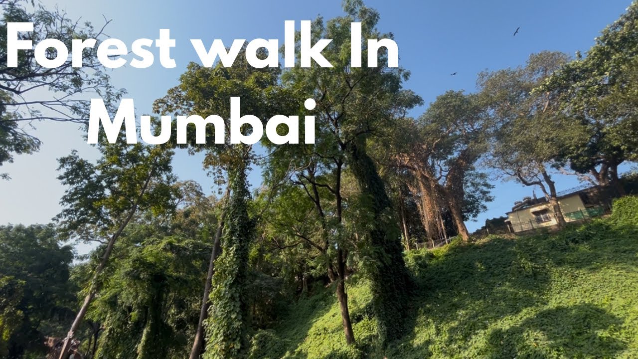 Forest Walk In Mumbai | Nature Trail | Malabar Hill| South Mumbai 