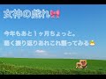 女神の戯れ🎀今年を軽く振り返るの巻