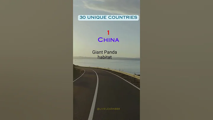 China, Panda, Китай, Панда, Unique Country, Уникальная страна - DayDayNews