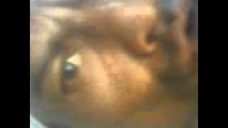 orang gila menyanyi lagu dinamik dilema rindu