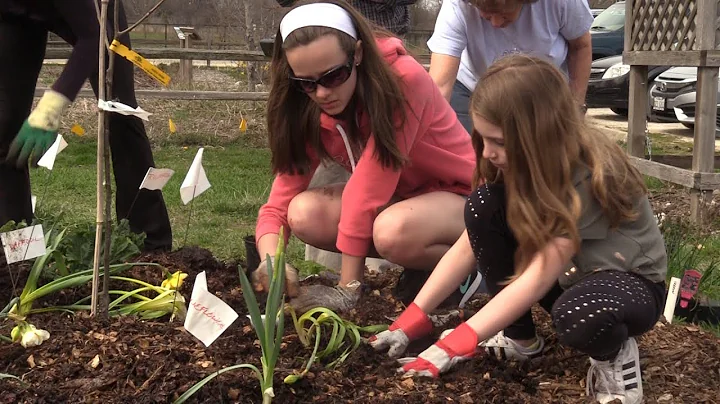 Growing an Edible Garden