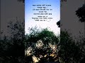 #lifeisbutadream #vairalvideo #love #vairal #ihavethisthingwithplants #unfrezzmyaccount