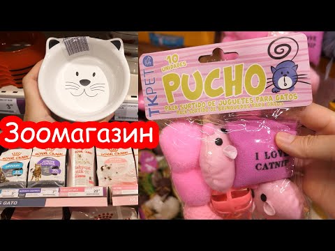 Первые покупки в зоомагазине Испании для котёнка