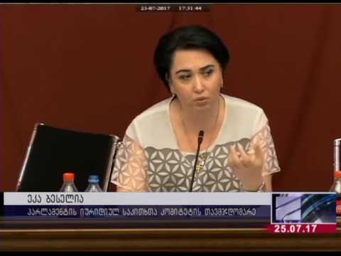 თვითმმართველობისა და იურიდიულმა კომიტეტებმა პრეზიდენტის ვეტო არ გაიზიარეს