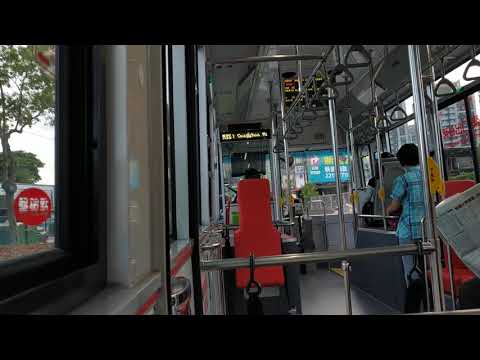 台北 |新店客運| 綠8|六期環保車輛|碧潭橋頭➡️浪漫貴族