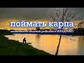 Платная рыбалка в Мандрино!