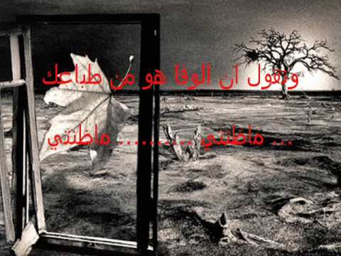 عبد المجيد عبدالله وحامد زيد مكس ضيعتني