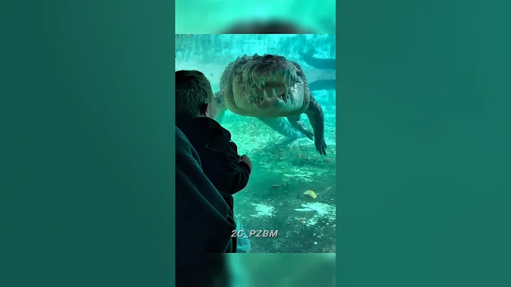 “Power of Animal Transformation 💀