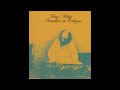 Capture de la vidéo Terry Riley - Rainbow In Cologne