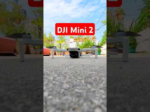 DJI Mini 2