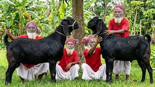 Goat Qurbani 2026 | Mutton Tehari Cooking by Grandpa | জোড়া খাসি কুরবানি করে তেহারি বিতরণ