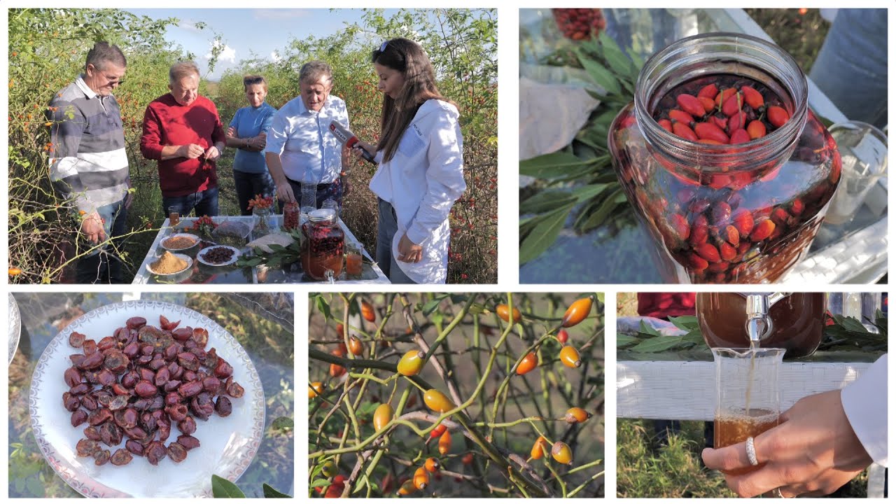 Ja ‘bomba’ imunitetit me vitaminë C me zero lekë që solli hungarezin në Shqipëri/ Merja:E gjeni kudo
