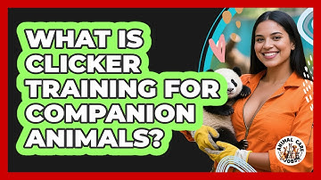 What Is Clicker Training For Companion Animals? - Animal Care Jobs
