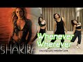 Whenever Wherever | Shakira | Beginner Level Fitness Dance | Akshay Jain Choreography | DGM