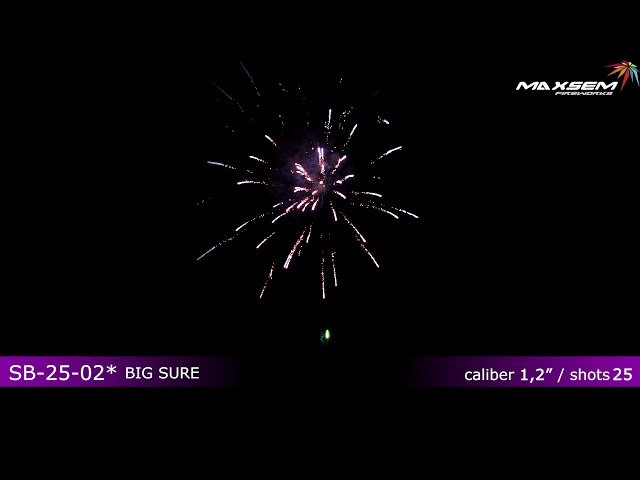 Видео: Батарея салютов BIG SURE (25/1,2) SB-25-02*