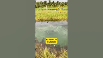 Nín thở theo dõi đặc công nước lặn đỉnh cỡ nào 🤩