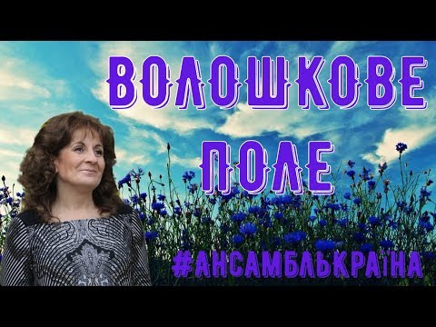 Волошкове поле