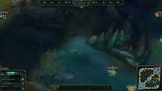 Funny Warwick