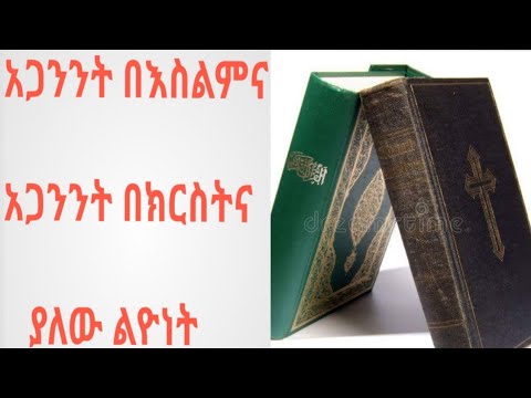 ቪዲዮ: ውሻ የተስፋፋ ስፕሊን - ለውሾች የተስፋፉ የስፕሊን ህክምናዎች