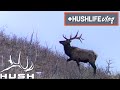 HUNTING SEASON IS HERE WHAT&#39;S OUR PREDICTIONS? | HUSHLIFE VLOG S2EP27