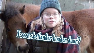 Hoeveel Kost Een Shetlander Per Maand? Coco Elise