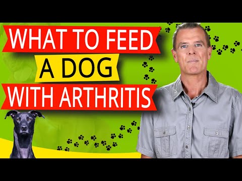 Video: Může některá jídla zhoršit artritidu u psů?