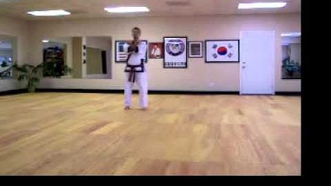 PTSDA Basic Stances of Tang Soo Do