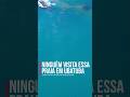 A praia escondida de Ubatuba que quase ninguém visita! #ubatuba #praia #viagem