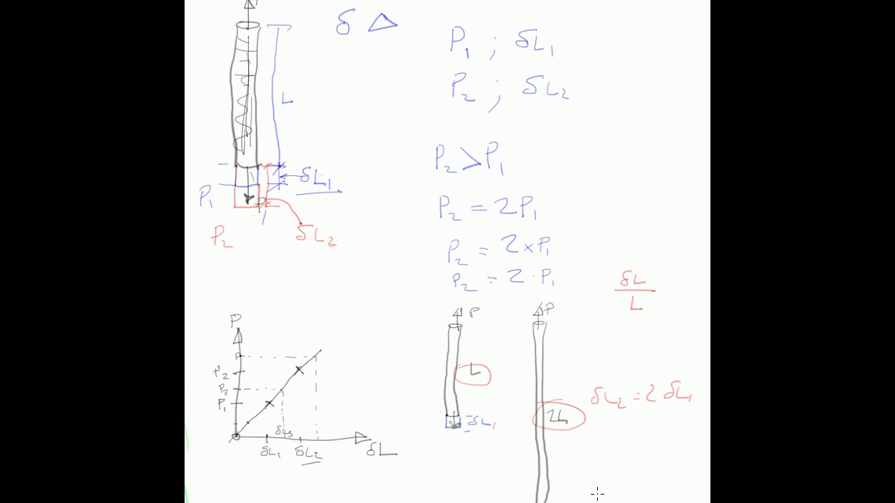 Hookes Law Normalising for change in length YouTube