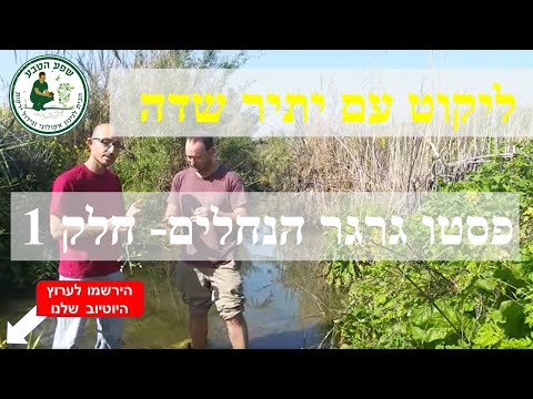 ליקוט עם יתיר שדה פסטו גרגיר הנחלים  חלק 1