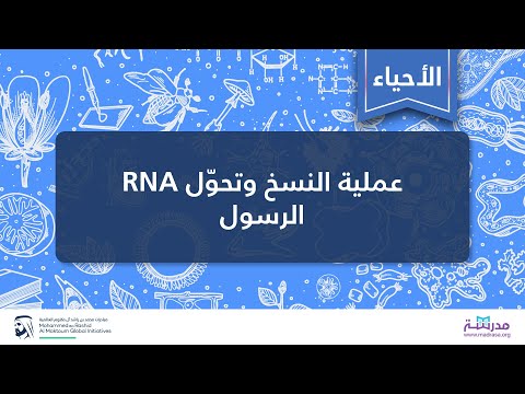 عملیة النسخ وتحوّل RNA الرسول | الأحیاء | الحمض النووي كمادة وراثیة