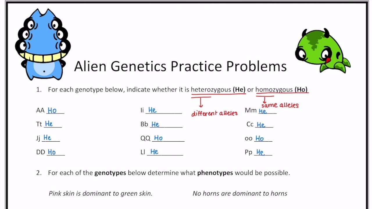Homozygous and Heterozygous  The Biology Central  Genetics Intended For Genetics Practice Problems Worksheet
