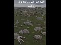 الحمدلله رب العالمين والصلاه والسلام على اشرف الخلق اجمعين الحمدلله رب العالمين والصلاه والسلام على اشرف الخلق اجمعين