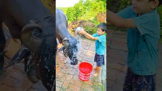 Choti Choti Gaiya Tr Ry Tr Y F